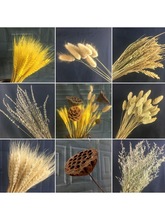 �S�չ������׃��@�������}�h����ɫ����ɻ��͏d������Ȼ�����b�