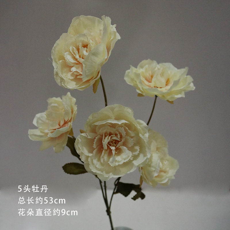 샴페인 5개와 모란 1개