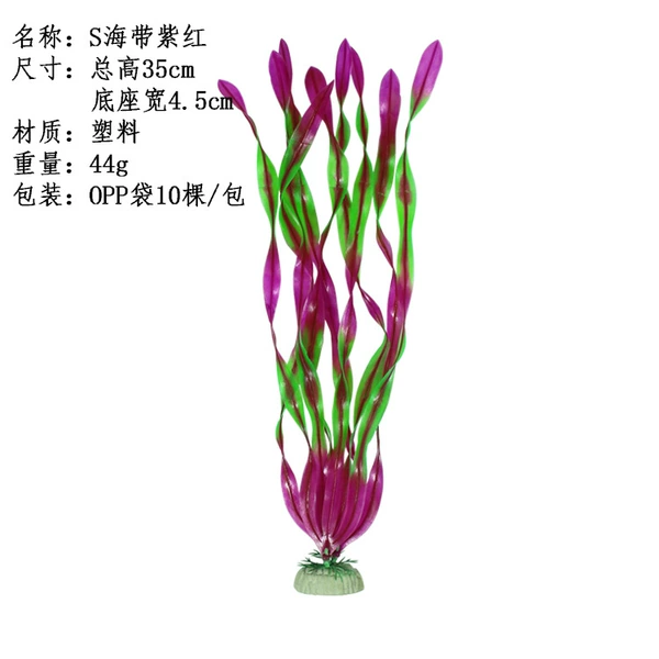 S kelp purple red