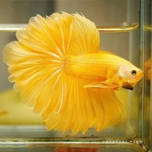 ��ˮ�B�~�^�p��ȫ�t����̩�����~�鼆�t�^�p�~�~�׶��~�ͺ��B�Ї�