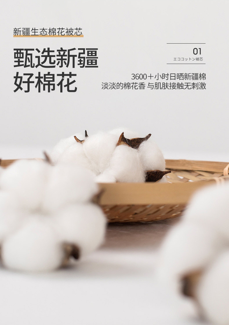 刘丰瑞-新疆生态棉花被芯_09.jpg