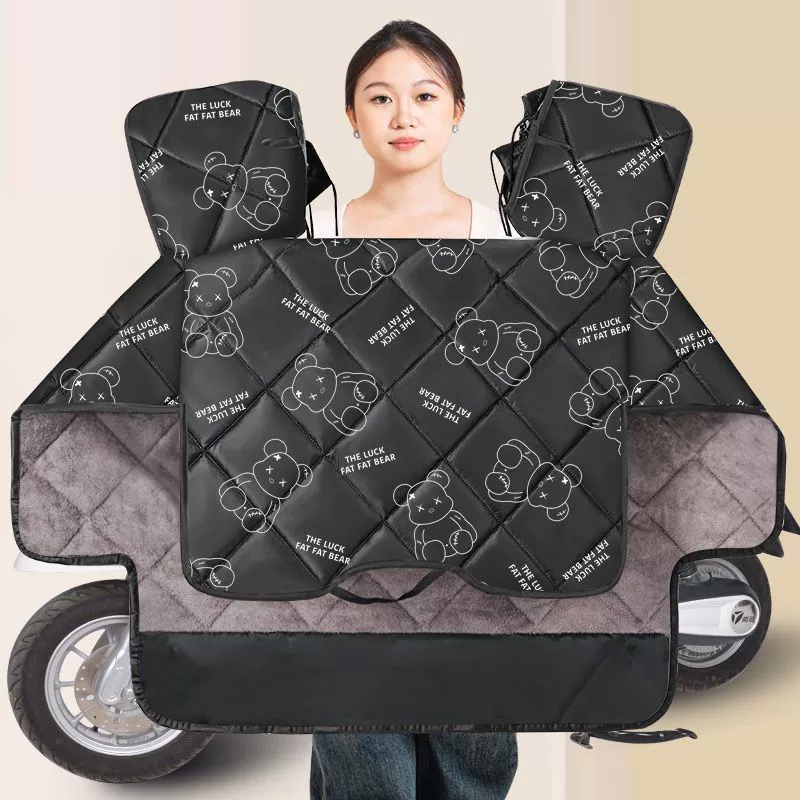Windproof waterproof keep warm electric car, car protection