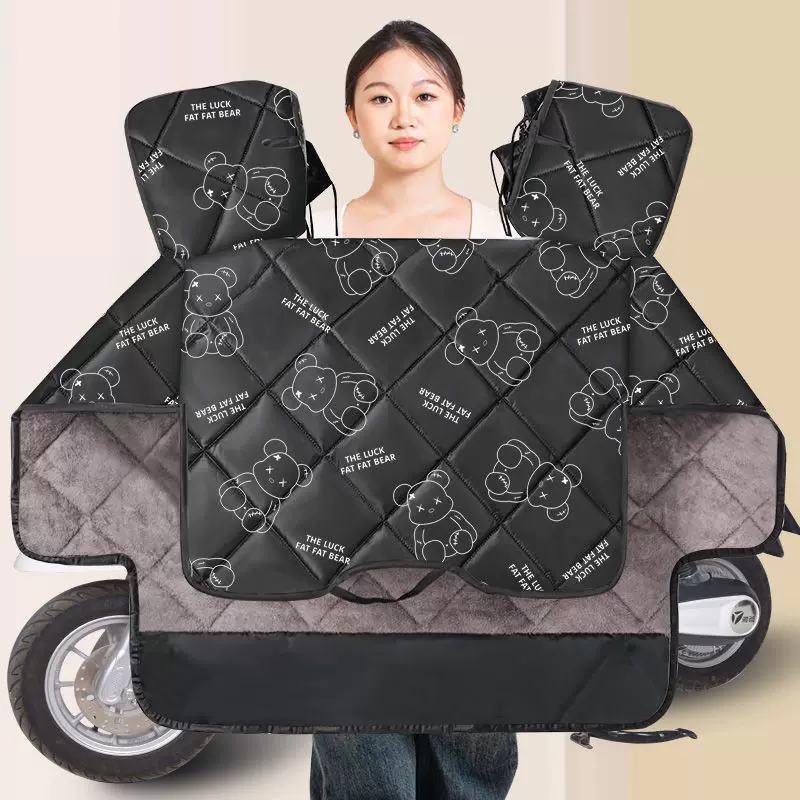 Windproof waterproof keep warm electric car, car protection