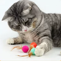 Toy, interactive bouncy ball, pet, cat, can bite