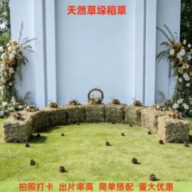 竹木藤苇干草;干花;其他园林资材