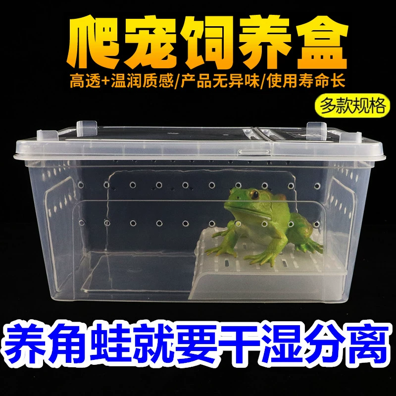 Коробка для кормления роговой лягушки