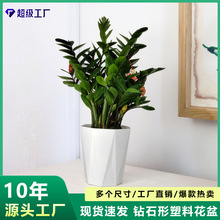 ��̖�����ɫ�����ʯ�λ���G�}�t�Ɨd�ӻ�������ش�ڏ��Nֲ��