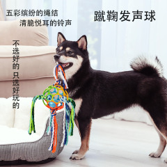 跨境新品寵物玩具狗狗發聲軟膠蹴鞠球磨牙潔齒耐咬多功能互動玩具