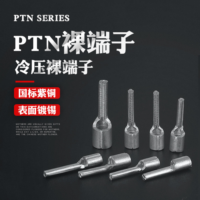 紫铜针形PTN0.5/1.25/2/5.5-13冷压接线裸端子插针线耳10/12焊口