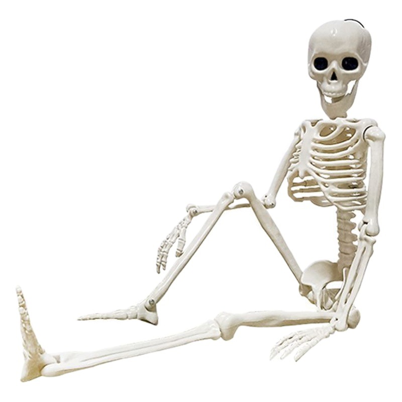 Esqueleto de Plástico Simulado de 60cm para Decoración de Halloween, Casa Embrujada, Props de Escena.