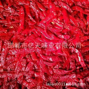 ���|�}�n���� �S��ֱ�N �������߆�