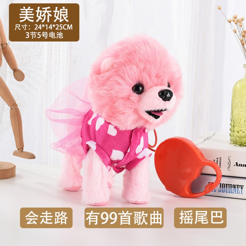 【beautiful girl】dog on leash