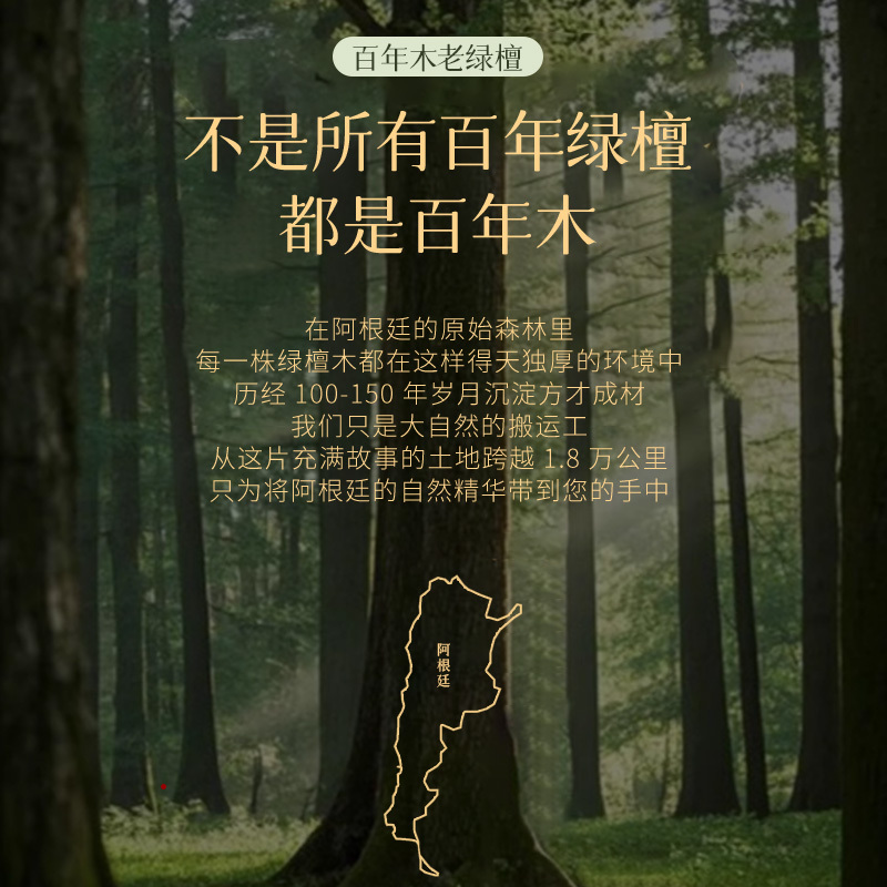 绿檀木双圈手串男女款檀香木质佛念珠盘玩手链礼物批发沉水绿檀|undefined