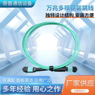 MPO/PC-MPO/PC 10 gigabit multi-mode (OM3) main cable (female-female) armored jumper