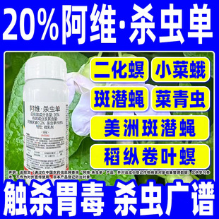 20%���S���x�����ްߝ�ω���Ú��x�����ǌ���ș���S���ؚ��x��