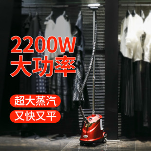 Vertical Hanging Ironing Machine, Commercial Clothing Store, Household Large Steam Ironing Machine, Handheld Ironing Machine, High-Power Iron