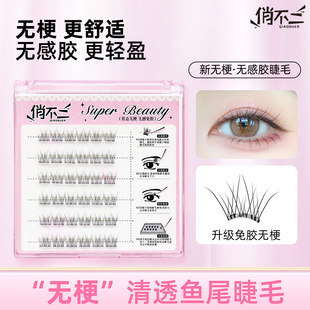 �o�����z�ٽ�ë�ґB�o���z�̿�8mm����Ȼ����냺����͸�~β��ë