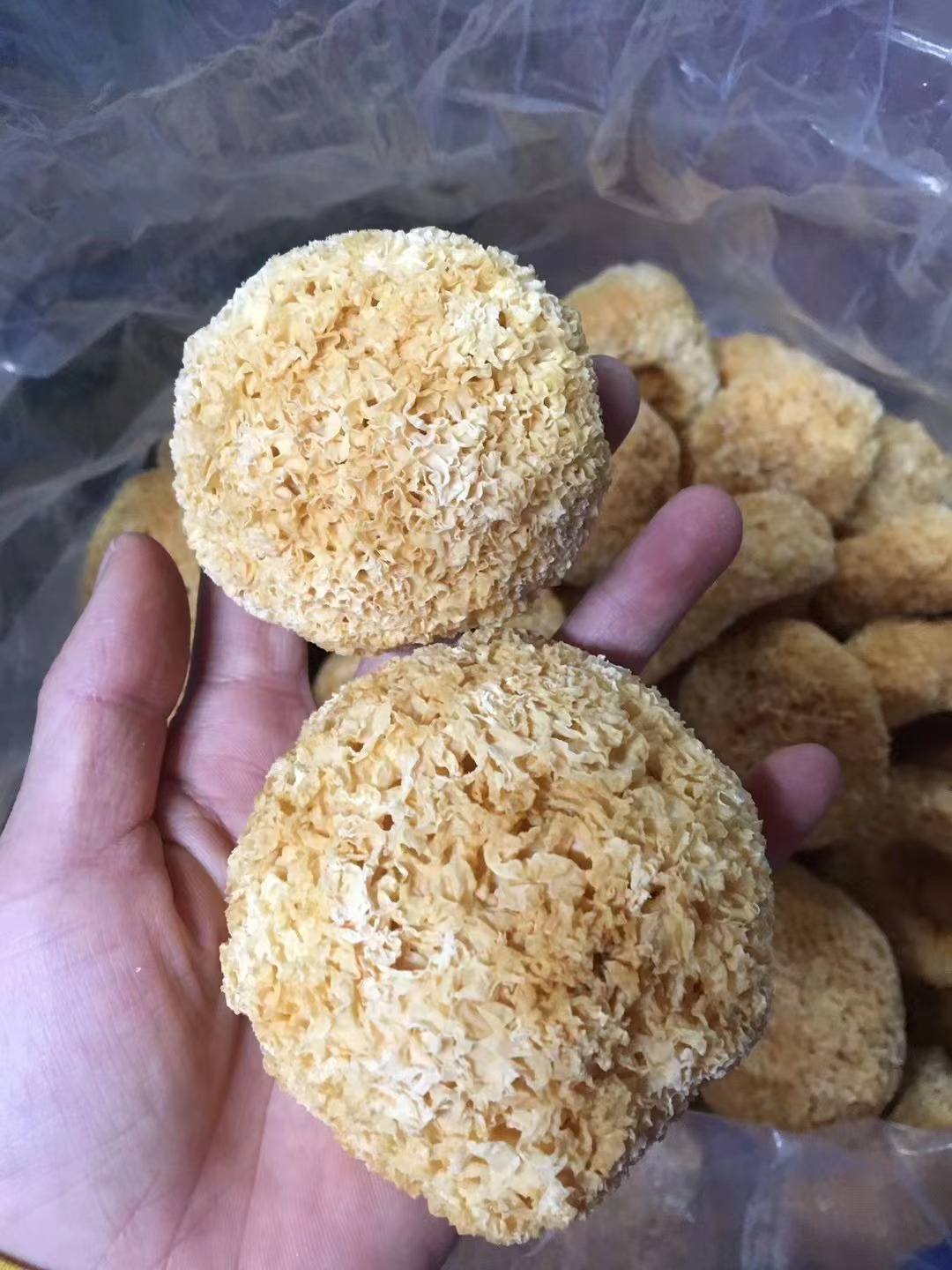 微信图片_20221203142253