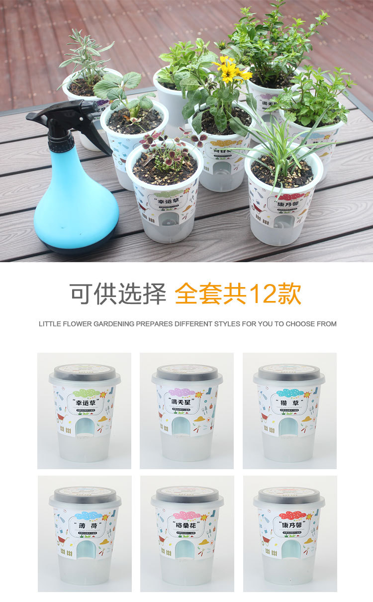 儿童种植小盆栽创意迷你幼儿园花农学生观察植物生长发芽diy礼物详情7