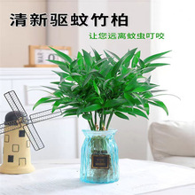 ������ˮ��ֲ�����ԾG�}�����҃Ȼ��r���k���ҾGֲ�lؔ������ȩ