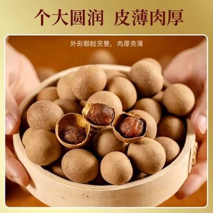 ���\���r�۸��Y��1.2kg�x�ݻ�С�װˌ����㹽���X�����A�ɷ۽z