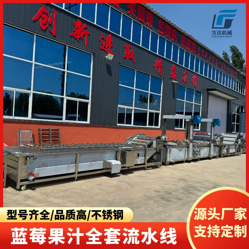 Линия производства сока из черники, оборудование для изготовления черничного джема, оборудование для обработки клубничного джема, пузырьковая мойка