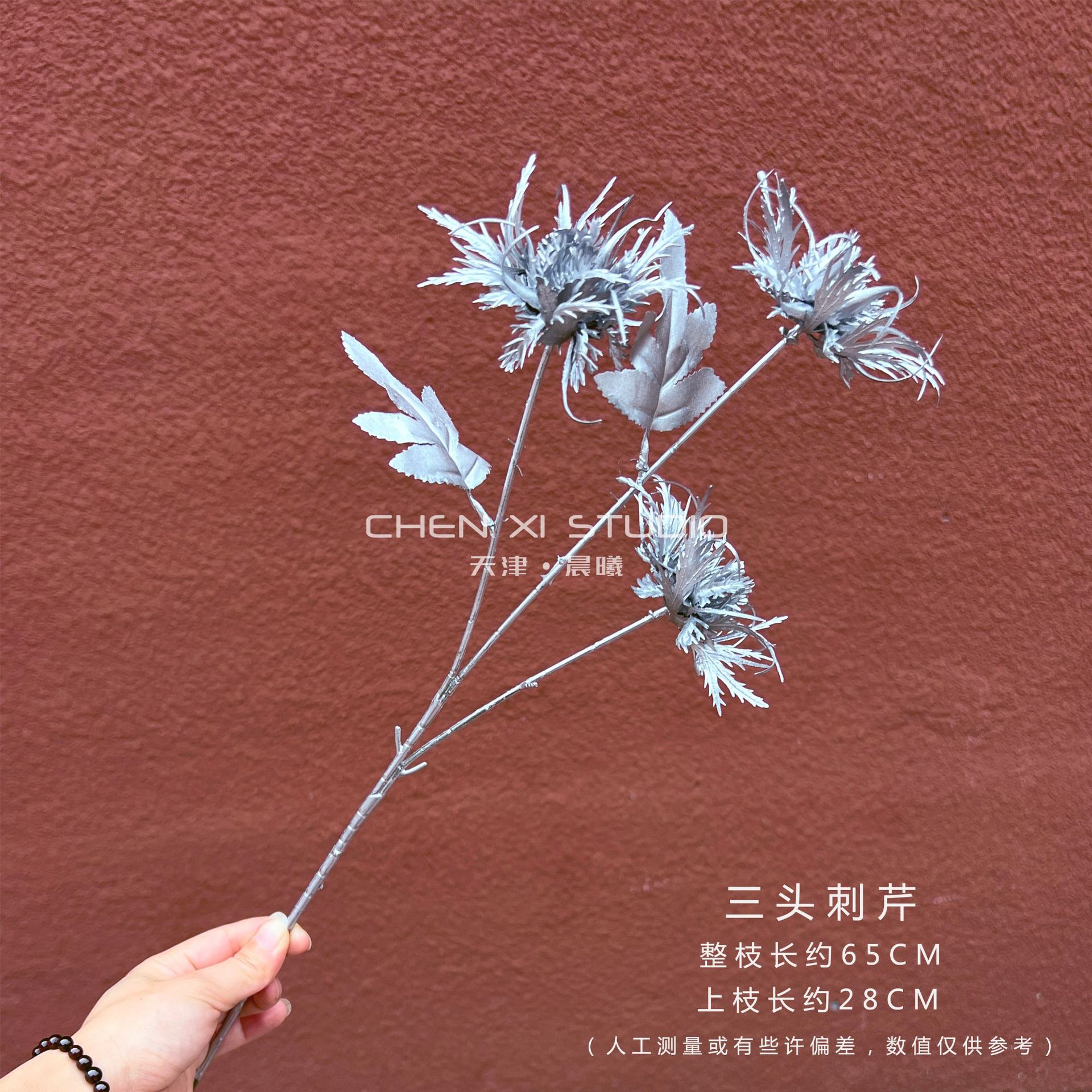 세 머리 아가리쿠스