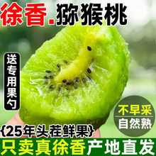 ���ü�h����J�������r�����������a��ֱ�l�G���殐���Y��