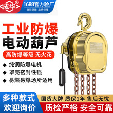 380V防爆环链电动葫芦煤矿化工二四工业级小型防爆链条式提升机