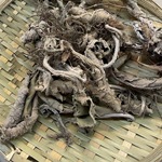 岩白菜西藏产地货源 蓝花岩陀 中药材批发 规格齐全 量大价优