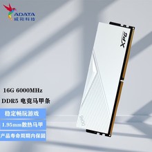 适用威刚(ADATA) 16G/32G DDR5 6000 6400  XPG威龙  黑/白 电竞