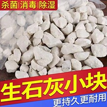 生石灰块10斤养殖消毒鱼塘杀菌净化水质果树涂白除潮除湿干燥剂