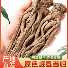 Cếhw500gșƷٷŞҰؼڮwƬ