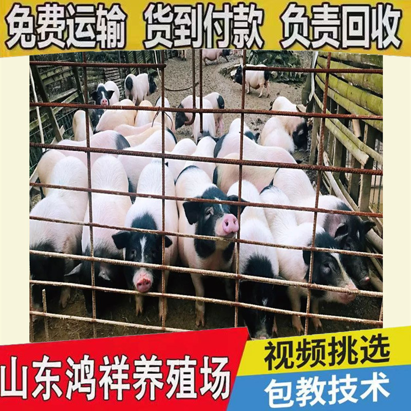 28fd5caf00f5354c15bd6a2c9ccf08