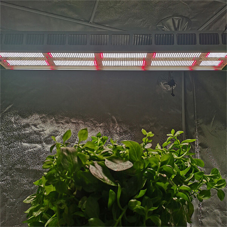 大功率麻科800W植物生长灯北美种植灯厂家全光谱led植物灯