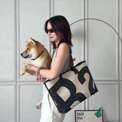 タイの潮牌の斜めのショルダーバッグに百合の女性カバンのアルファベットのプリントのリュックサックのクロスボーダーの女性の大容量のハンドバッグのbags
