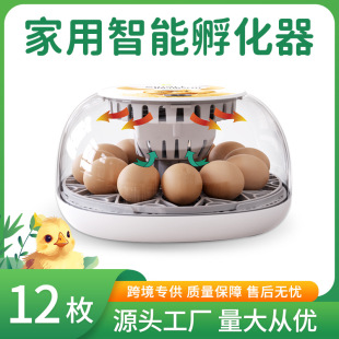 WONEGGС�u������12ö��������ͯ�Y�����ǿƽ̼�ͥ���������O��