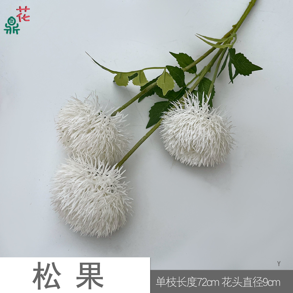 솔방울 Y 화이트