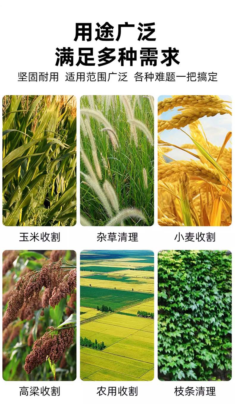 详情4