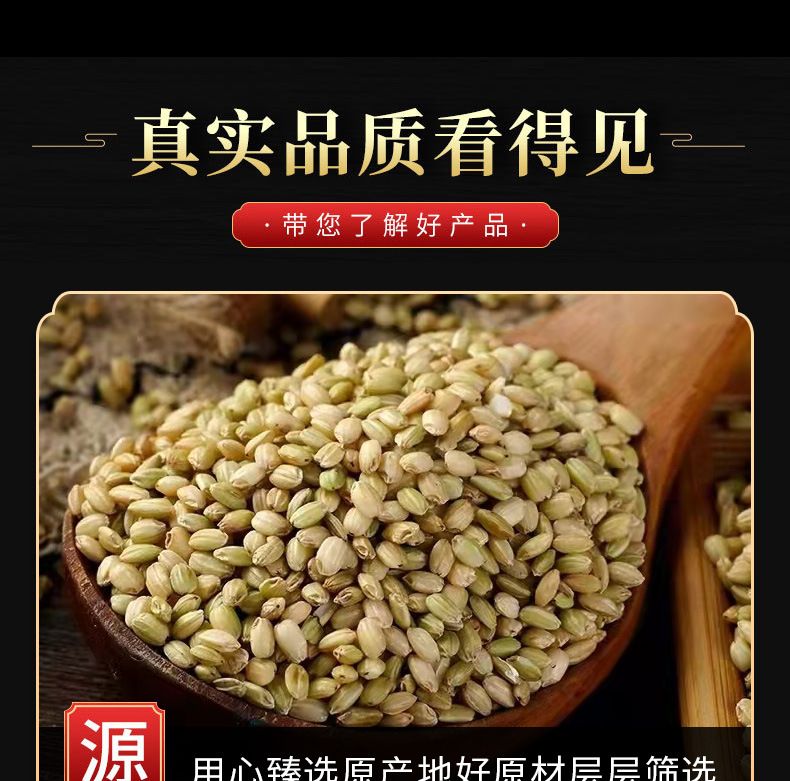Green Rice & Five Grain Mix (Oryza sativa) — Red Yeast Rice, Black Rice, Red Rice Whole Grains quality and texture