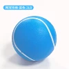 Poch tennis blue
