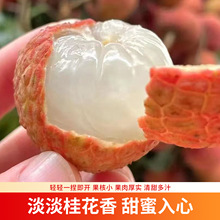 2026�^���������r��֦������֦�Fժ�F�l������֦���\һ�����l