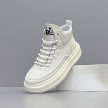 ߎЬ2025ʿƤeЬпٴ͸СЬװЬ