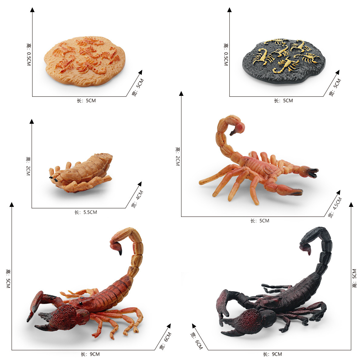 Simulación transfronteriza modelo de ciclo de crecimiento de insectos escorpión proceso de transformación de crecimiento de escritorio estático animal adornos juguetes