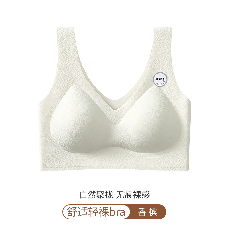 샴페인