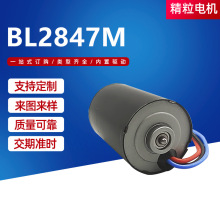 BL2847M直流电机剪线机电批高速长寿命直流无刷电机微型直流马达