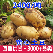 �SƤ�S����������ܛŴ���������R����F���r���߲����r�F��