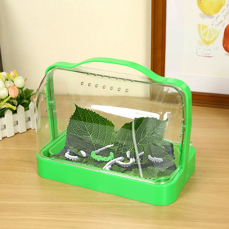 Коробка для разведения шелкопряда в капсуле