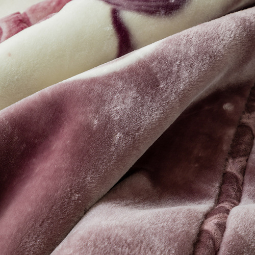 Raschel Fleece Blanket Double Layer Thick Coral Fleece Blanket for Couple 10 Pounds Warm Winter 12 Pounds Nap Cover Blanket