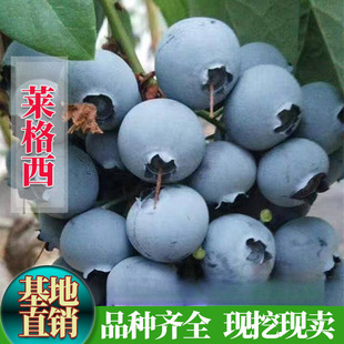 ���R���{ݮ�籱���Ϸ��Nֲ���������Ե����玧�������l؛�{÷����